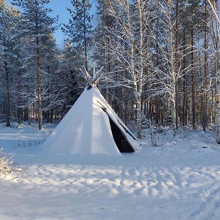 Cozy Home With Sauna And Kota Rovaniemi Exterior foto