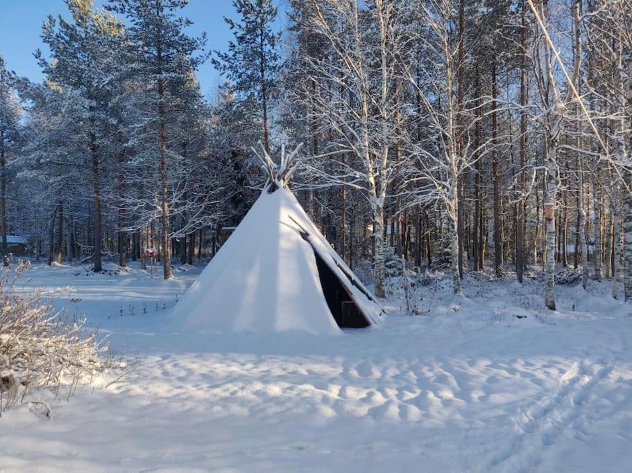 Cozy Home With Sauna And Kota Rovaniemi Exterior foto